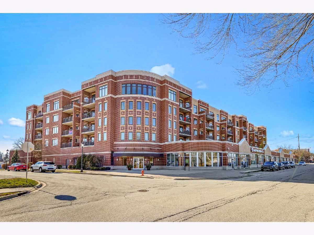 Condominiums Sold Park Street Crossing Roselle Illinois, 225 Main