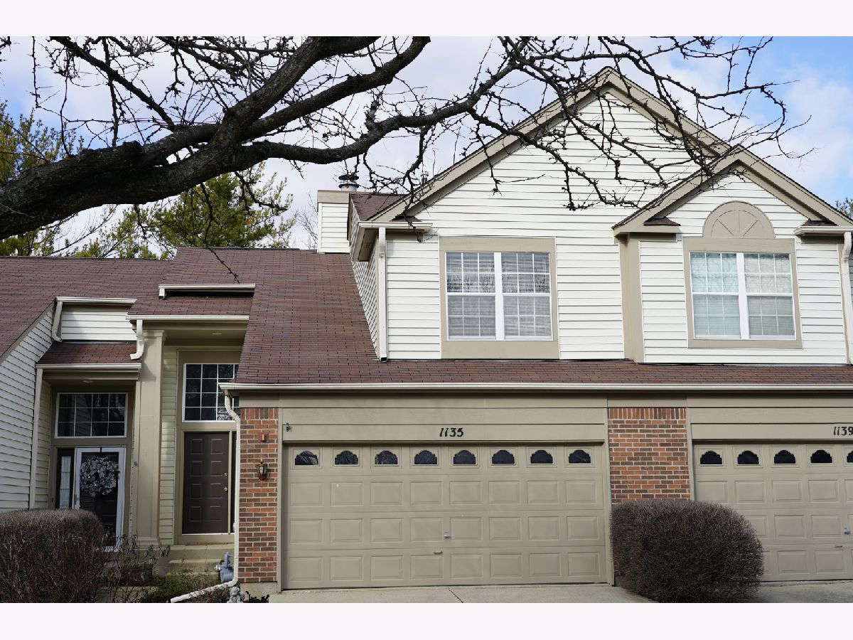 Townhomes & Homes Rented Copperfield Naperville Illinois, 1135 Wickfield