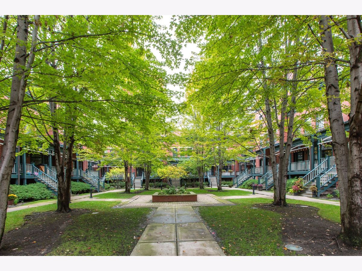 Townhomes Sold Carmichael Place Chicago Illinois, 1021 Rundell