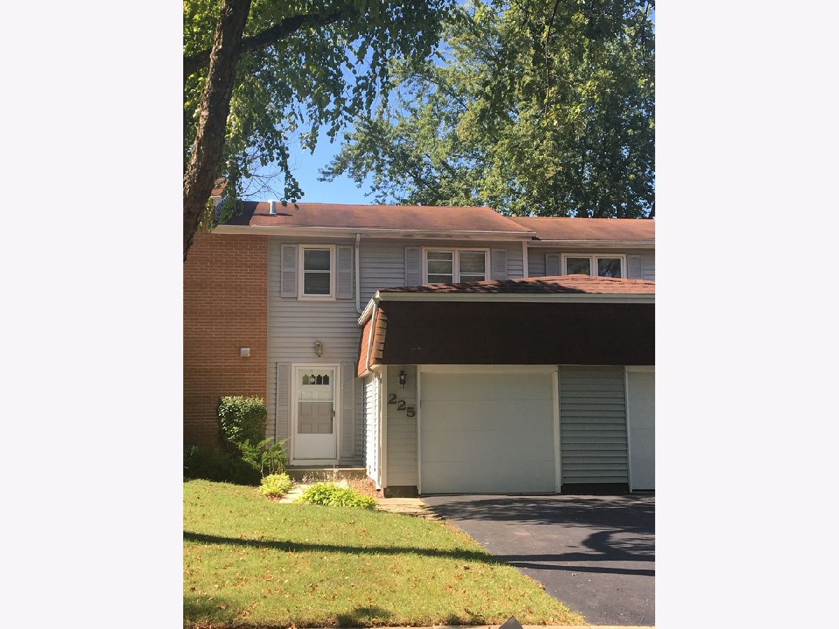 Townhomes Rented Winston Village Bolingbrook Illinois, 225 Monroe