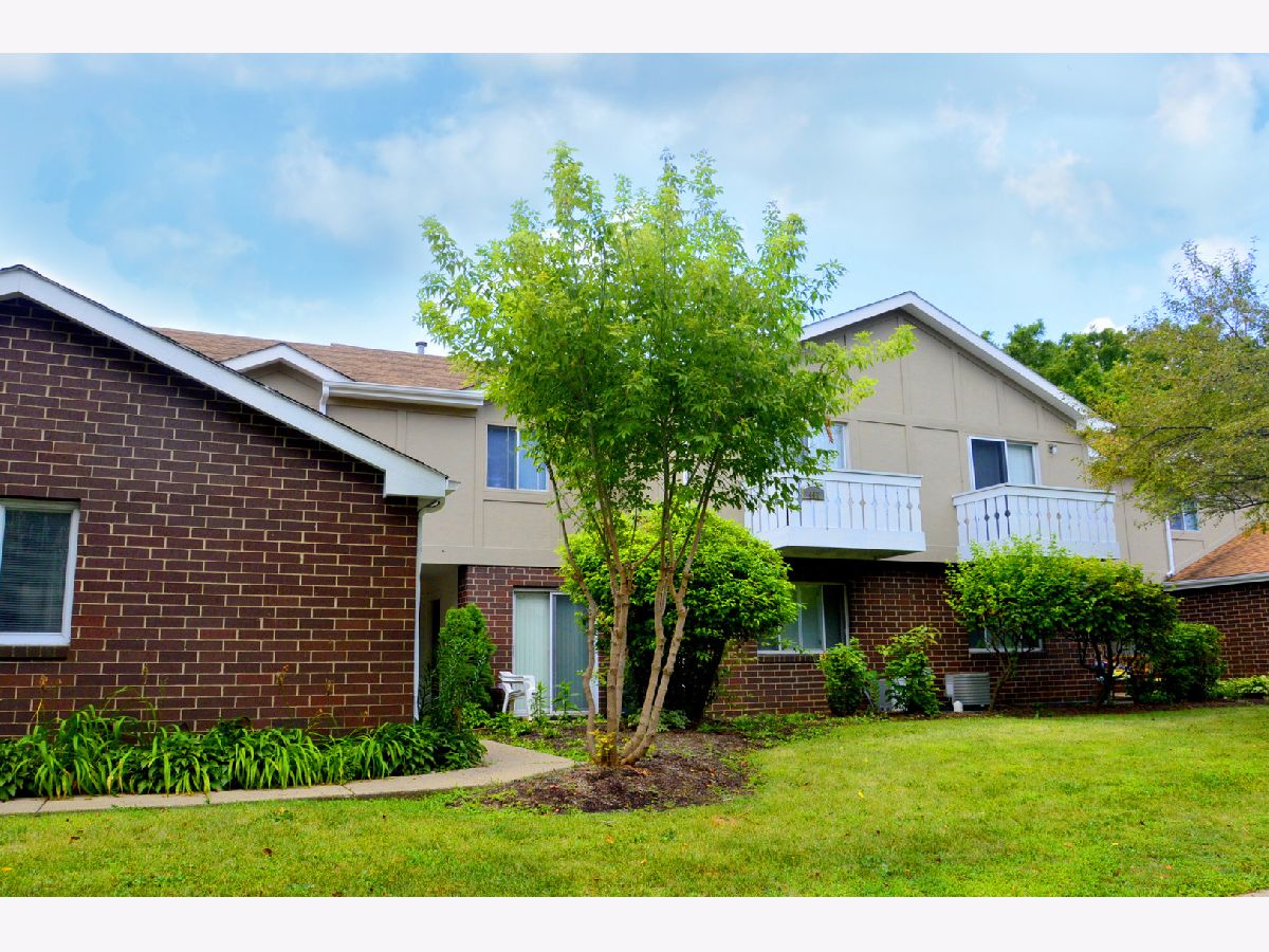 Townhomes & Condos & Homes Rented Brandywine Crystal Lake Illinois, 441 Brandy