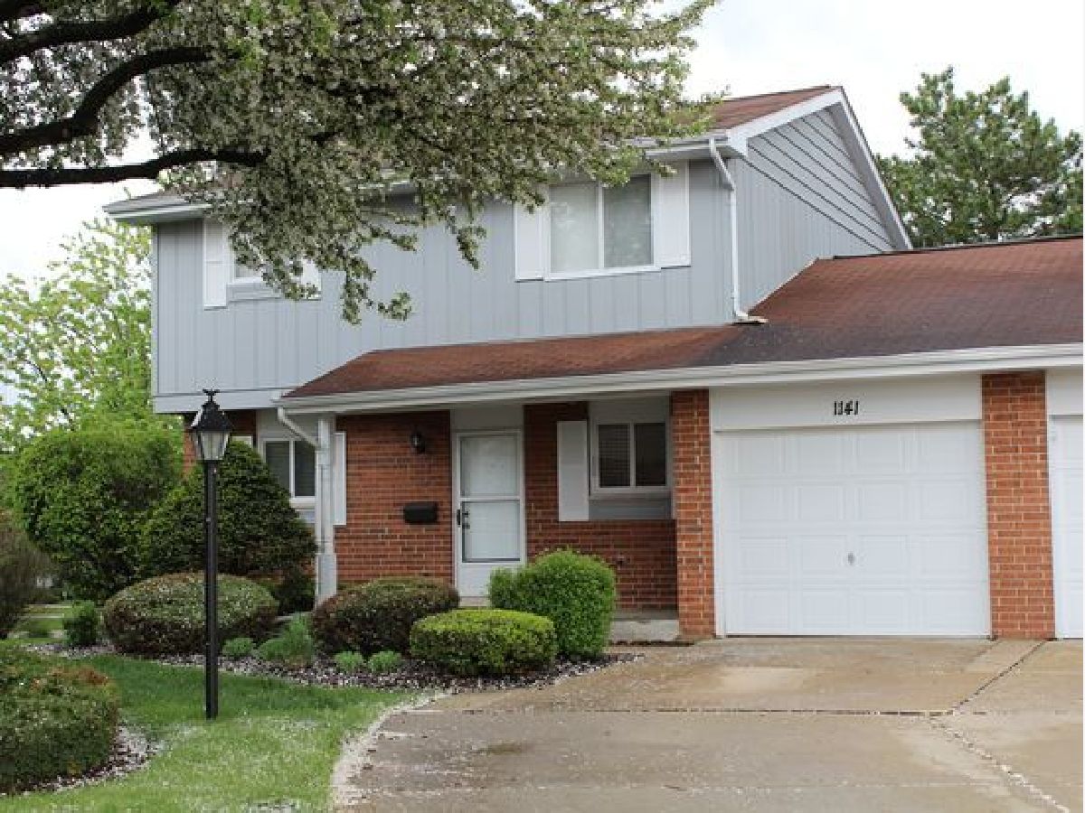 Townhomes & Condos & Homes Rented Briarcliffe West Wheaton Illinois, 1141 Rhodes