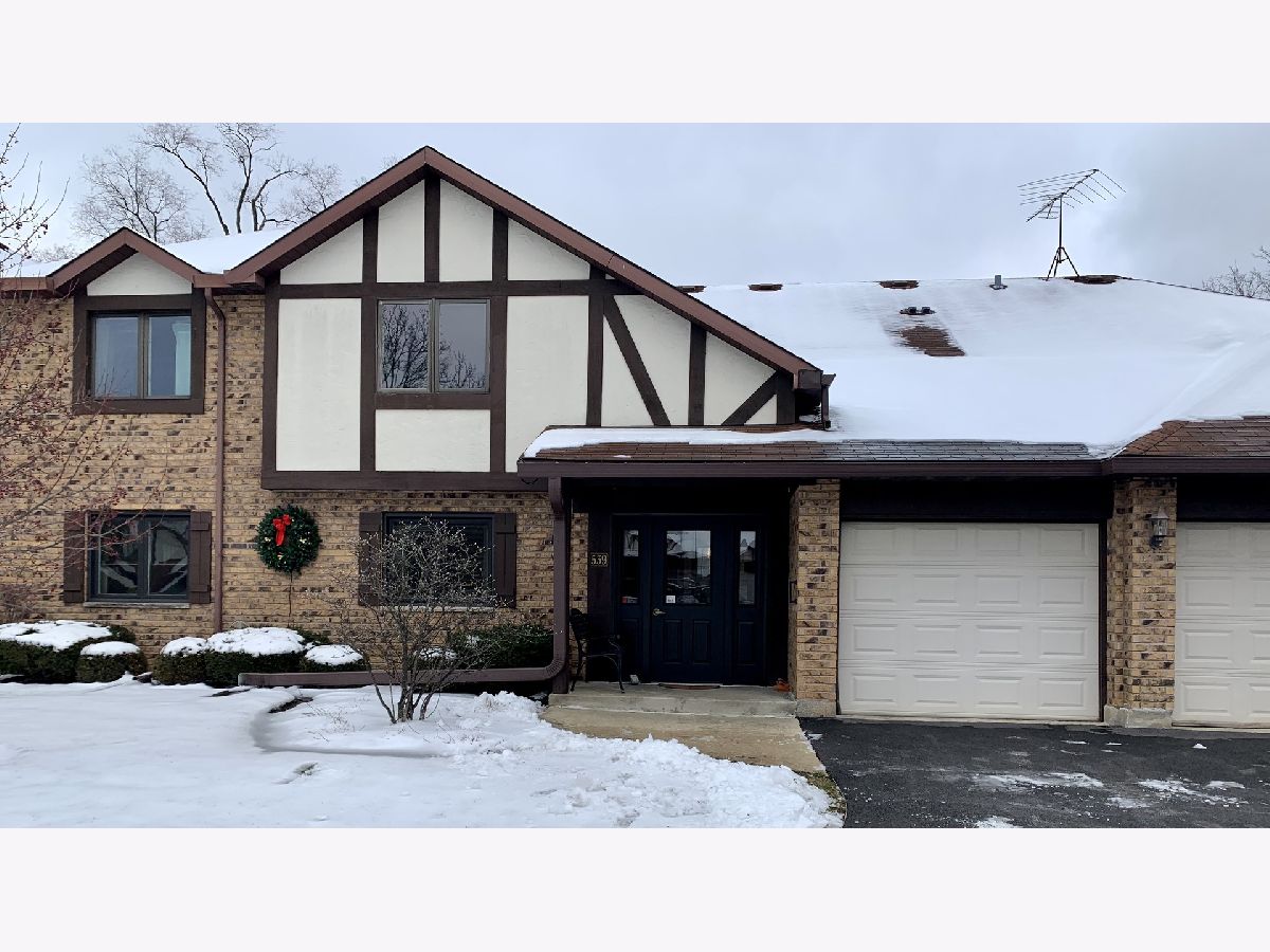 Condos & Townhomes Rented Banyon Cove La Grange Illinois, 539 Banyon