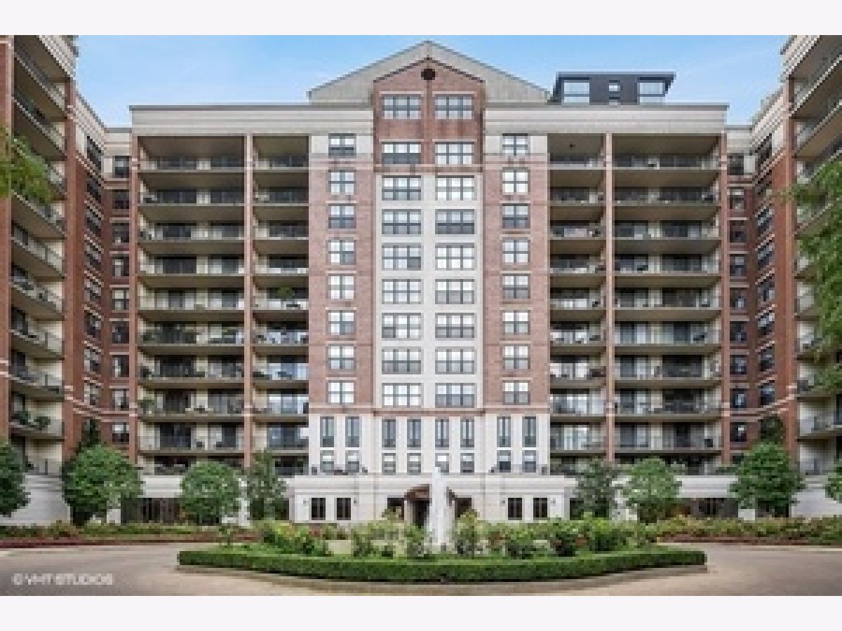 Condominiums Rented Park Newberry Chicago Illinois, 55 Delaware