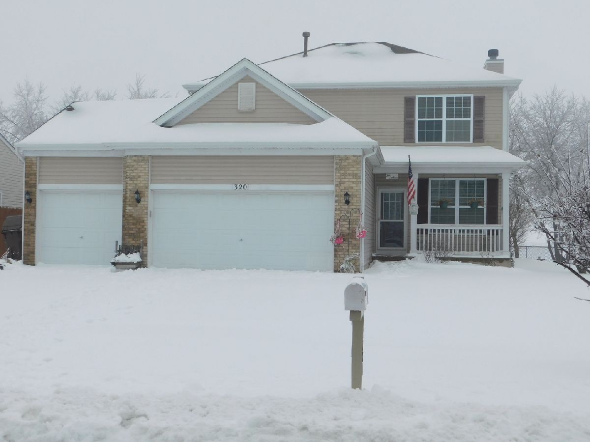 Homes & Condos & Townhomes Sold Meadows At Countrybrook Harvard Illinois, 320 Tall Grass
