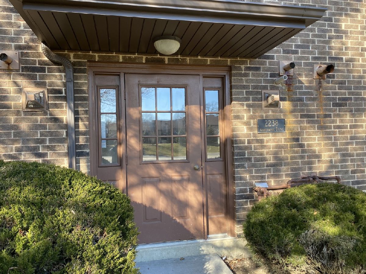 Condominiums Rented The Trails At Abbeywood Lisle Illinois, 2238 Abbeywood