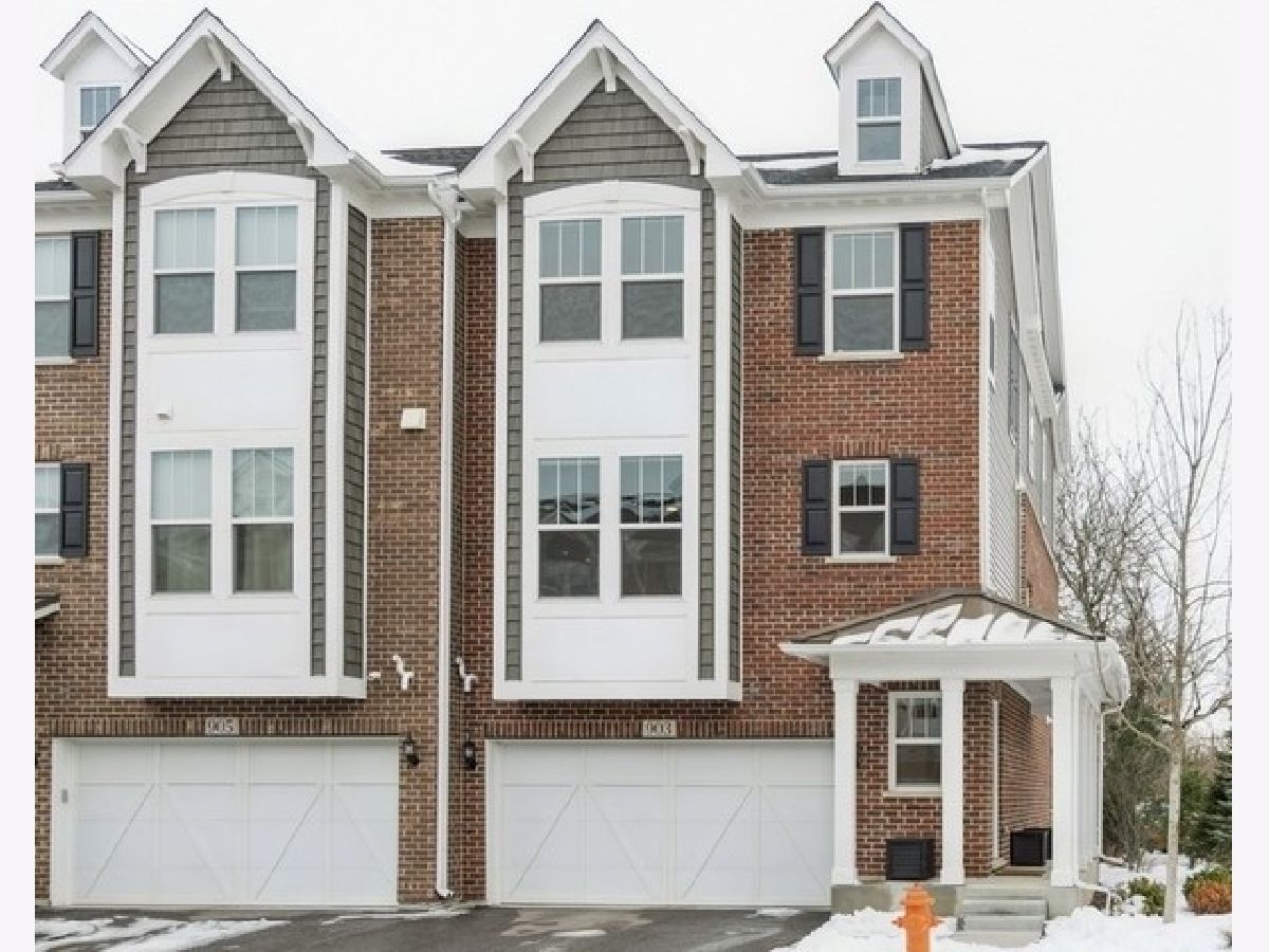 Condos & Townhomes Sold Columbia Park Townes Naperville Illinois, 903 Coletta