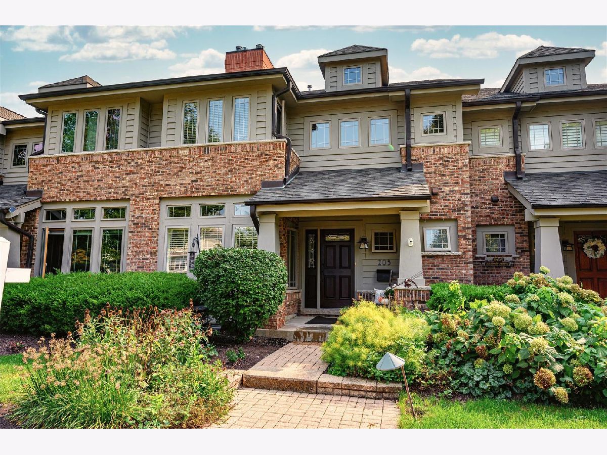 Condos & Townhomes Sold Larch Avenue Rowhomes Elmhurst Illinois, 203 Larch