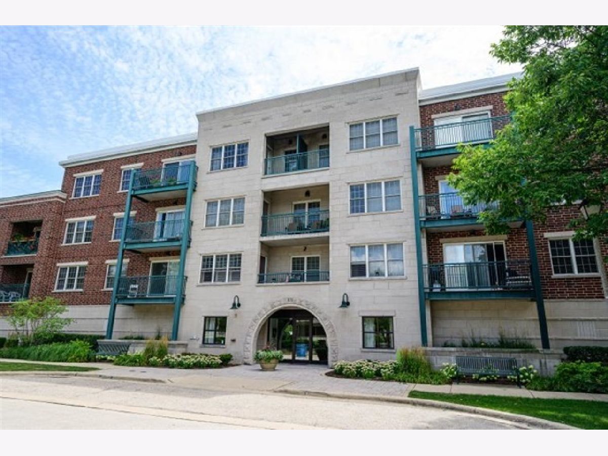 Condominiums Sold The Park Elm Elmhurst Illinois, 111 Larch
