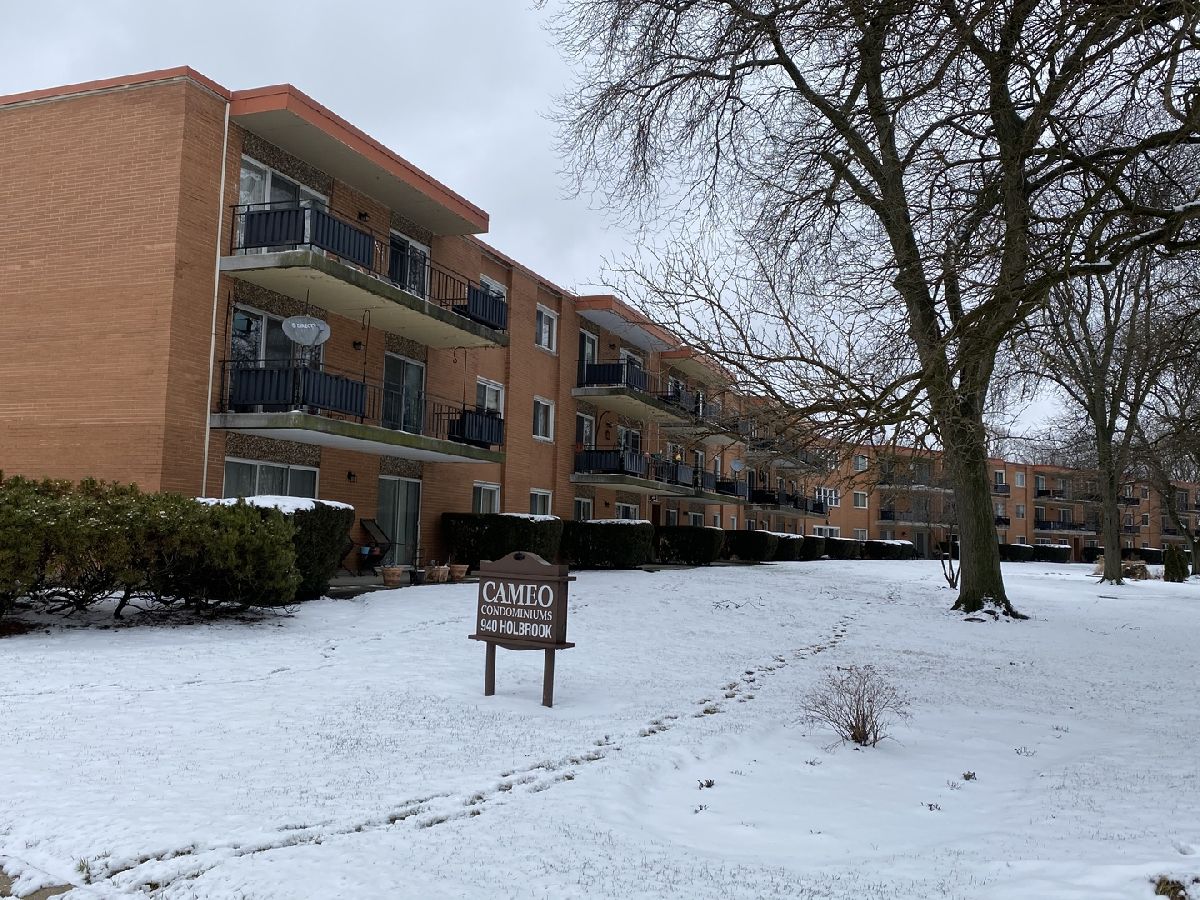 Condominiums Sold Cameo Homewood Illinois, 940 Holbrook