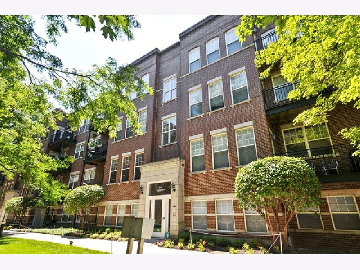 Townhomes & Condos & Homes Rented Old Town Square Chicago Illinois, 301 Scott