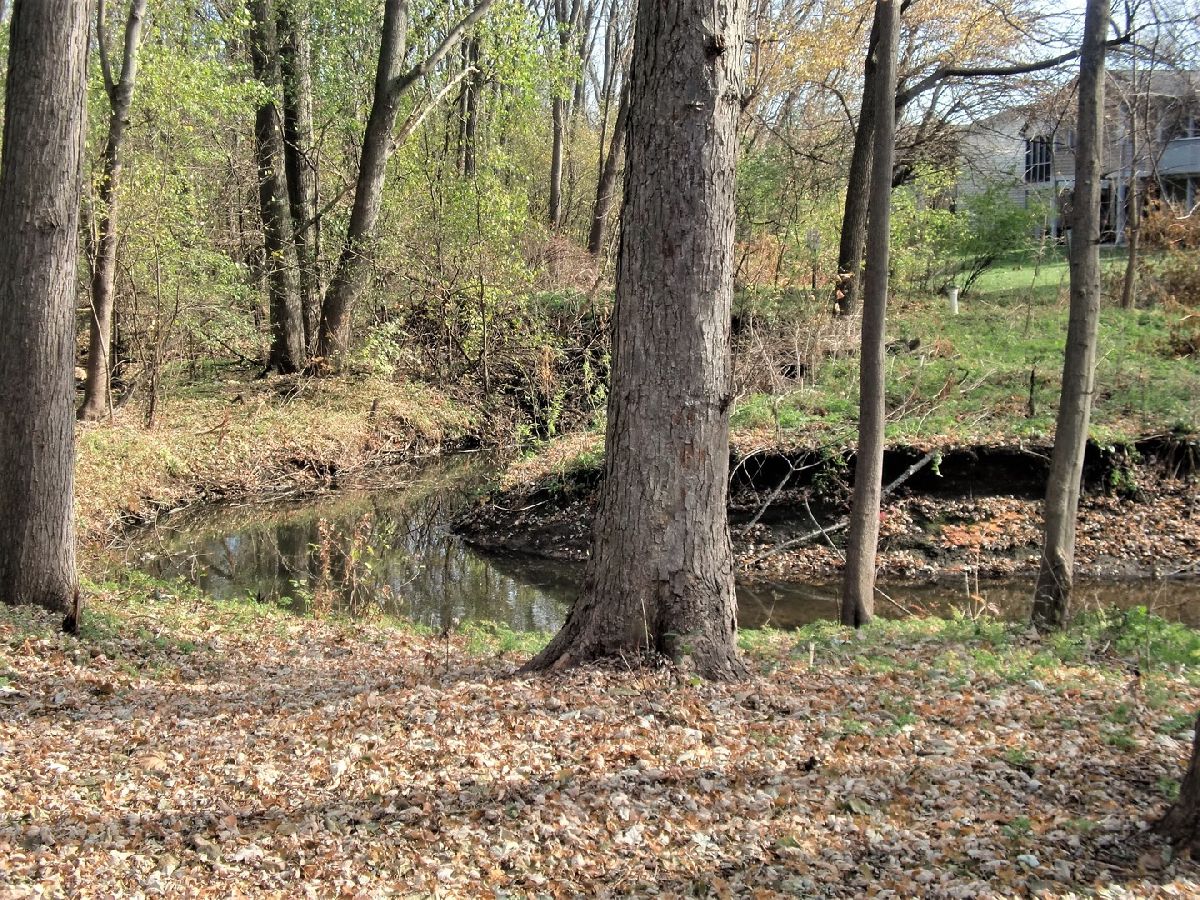 Condominiums Sold Stonegate Of Valley Creek Elgin Illinois, 325 Airlite