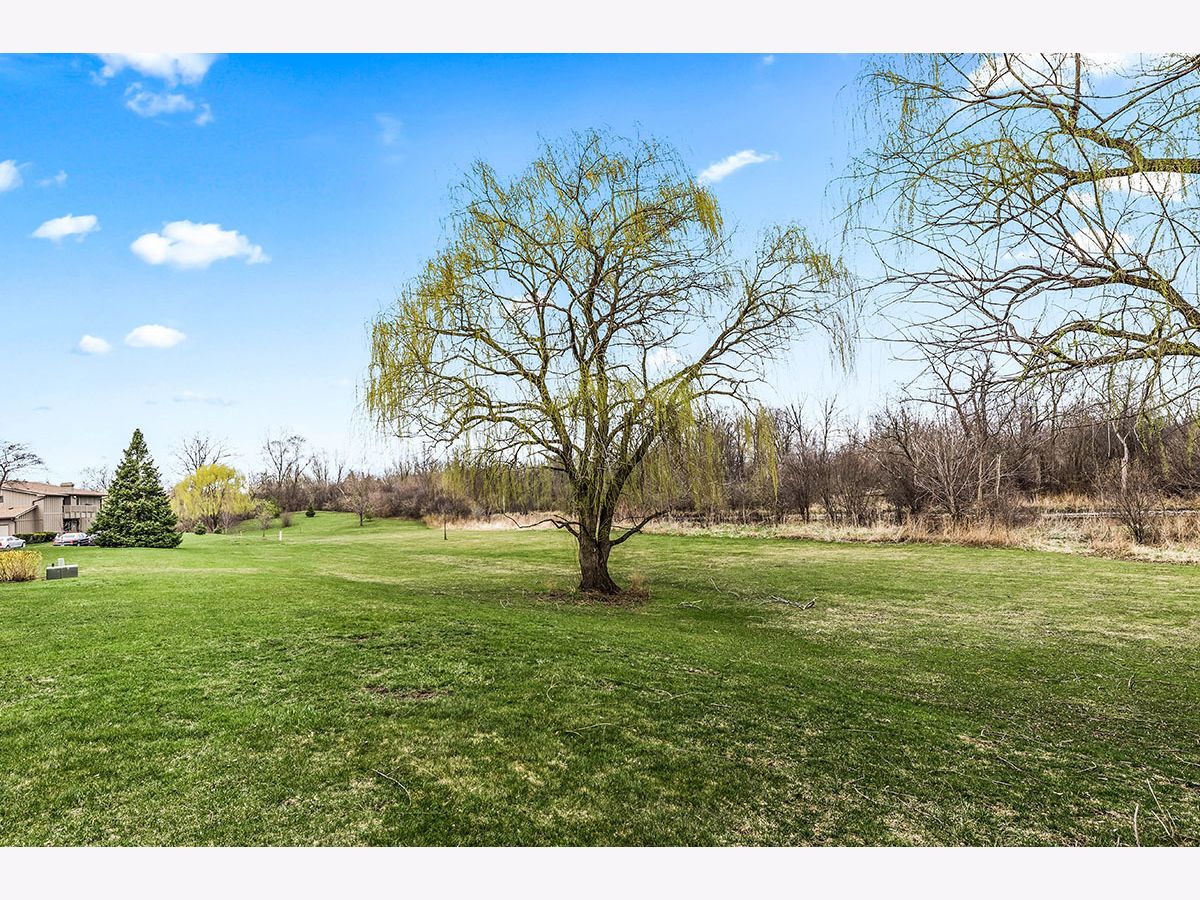 2S409 Emerald Green Drive, Warrenville, Illinois 60555 MLS 10982312