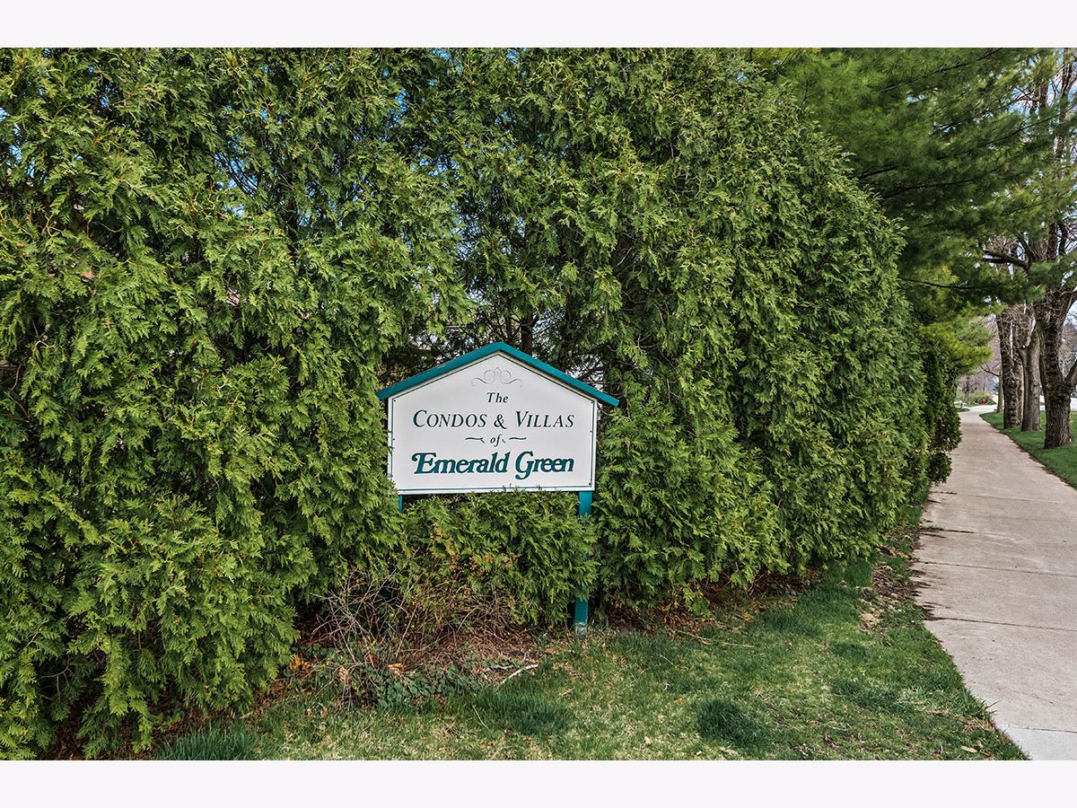 2S409 Emerald Green Drive, Warrenville, Illinois 60555 MLS 10982312