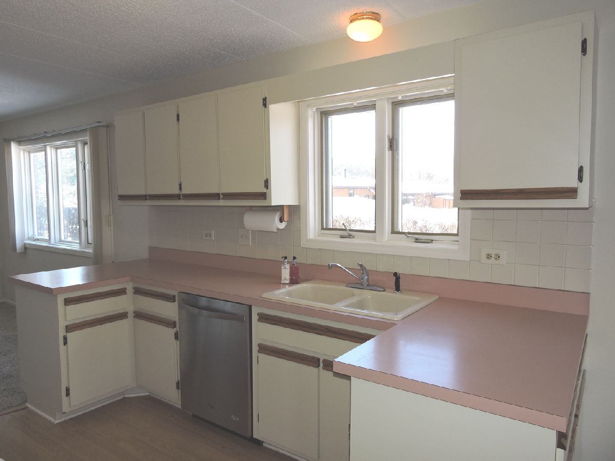 Condominiums Sold Lake Maria Palos Park Illinois, 9844 Terrace Ct W