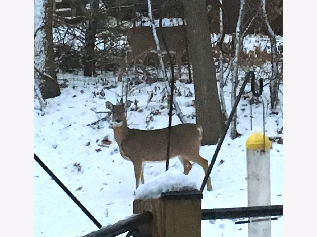 Homes Sold Solitude Lakes Plano Illinois, 2588 J Rock Creek