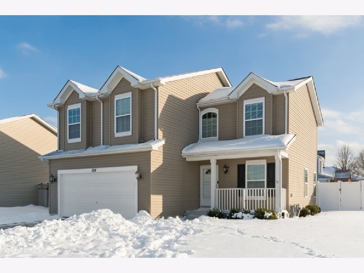 Homes & Condos & Townhomes Sold Arbor Lakes Minooka Illinois, 824 Maplewood