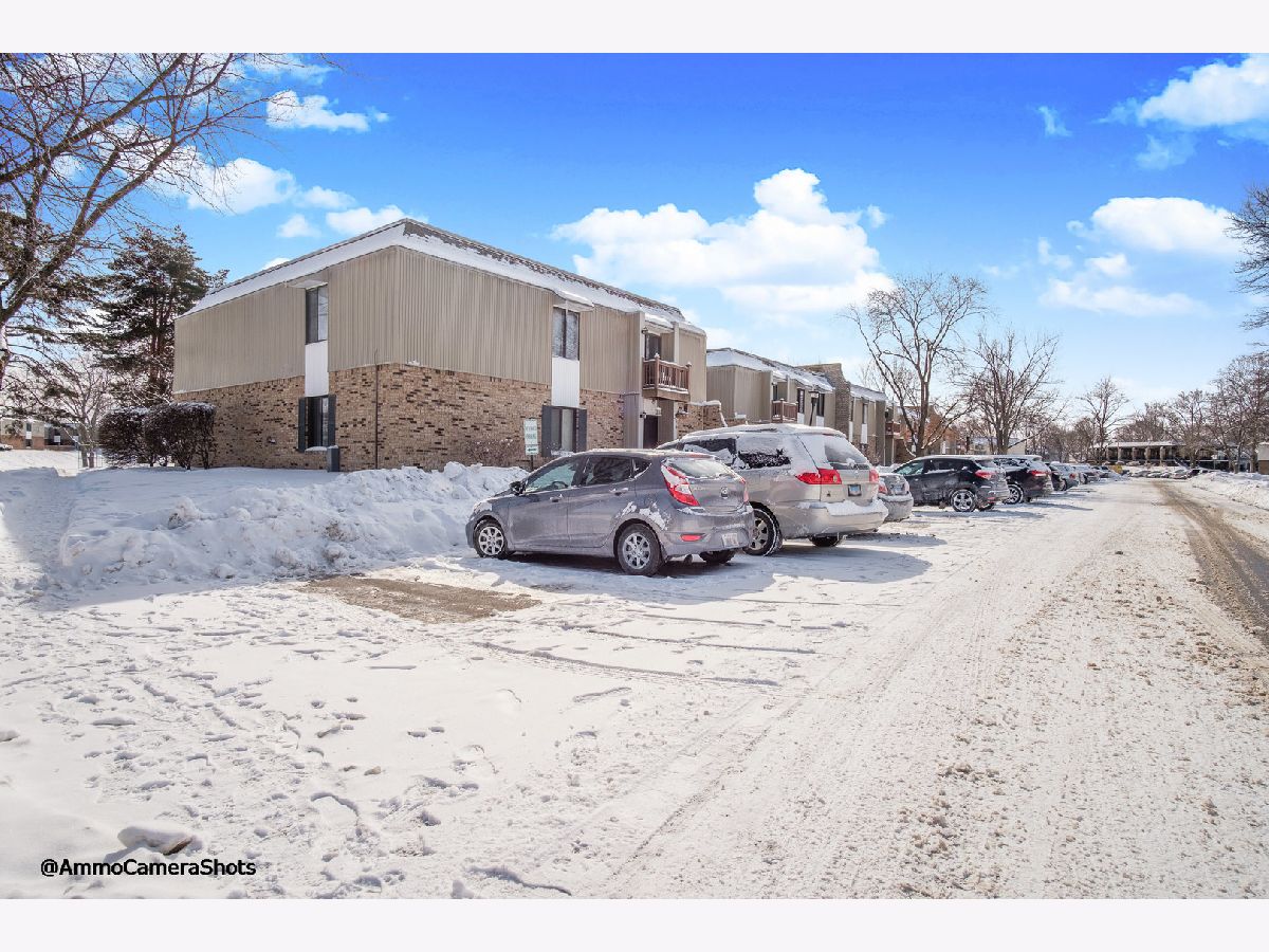 Condominiums & Homes Sold Farmingdale North Downers Grove Illinois, 7303 Grand