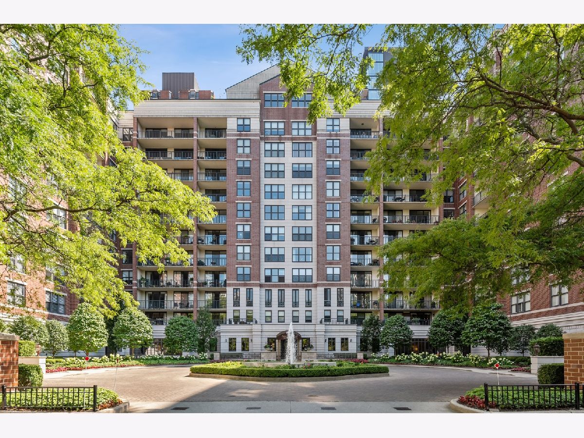 Condominiums Sold Park Newberry Chicago Illinois, 55 Delaware