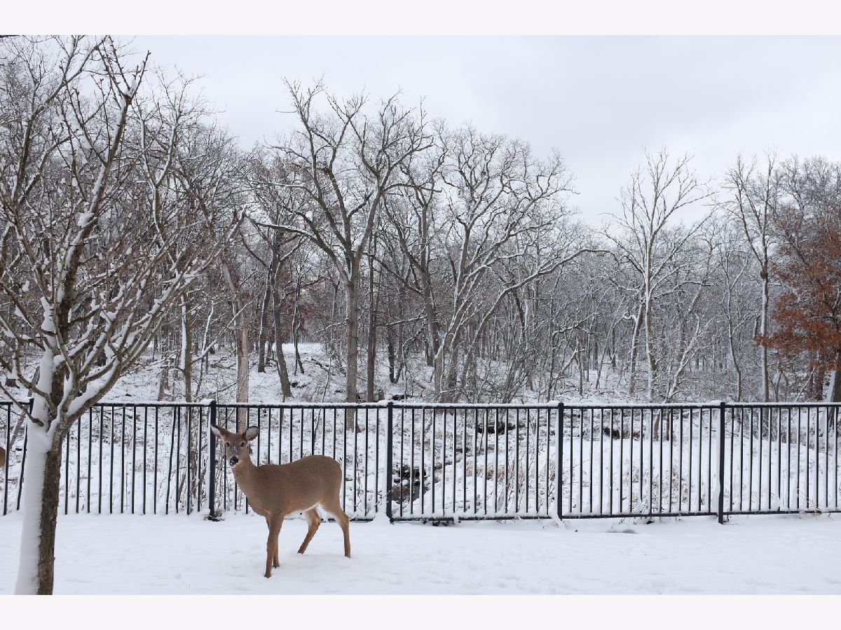 Condos & Townhomes Rented Trafalgar Woods Townhomes Morton Grove Illinois, 302 Prairie