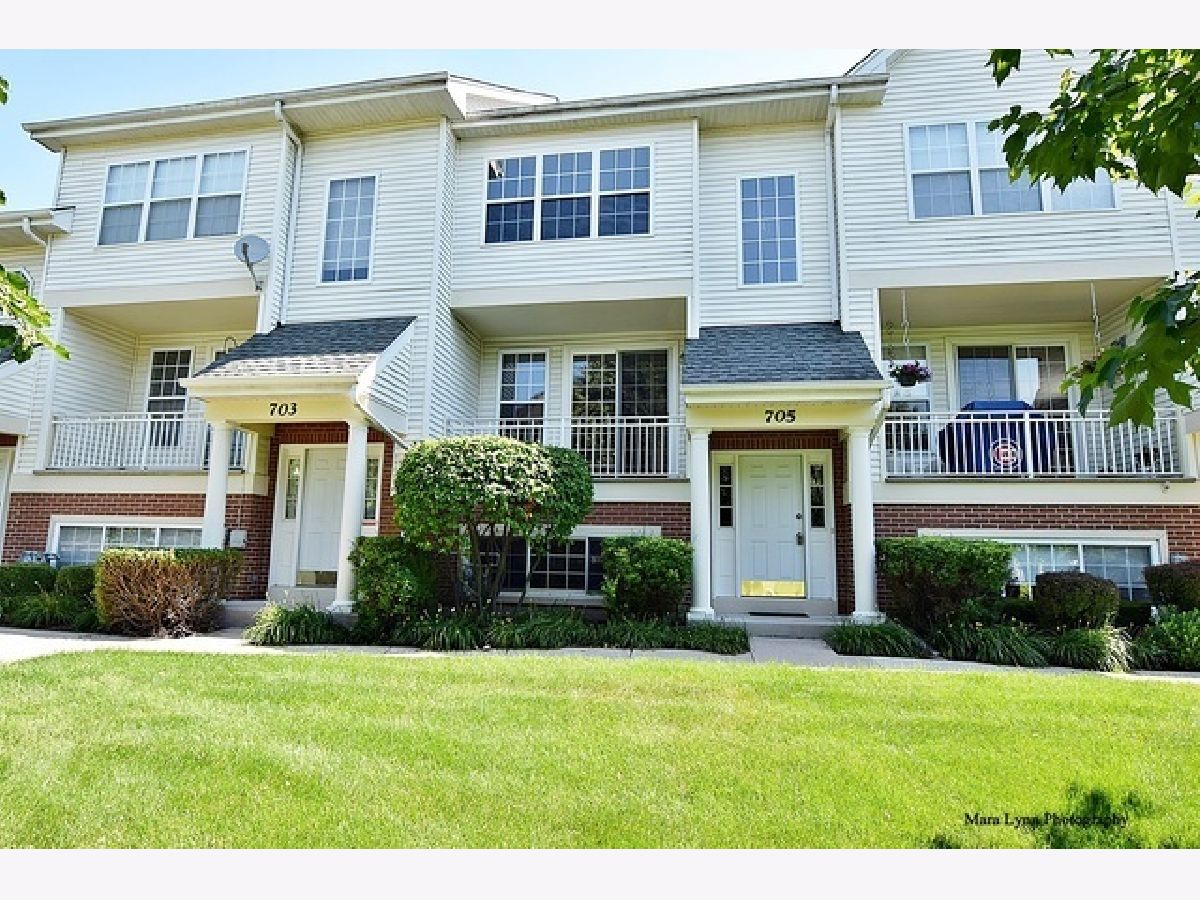 Townhomes Rented Pheasant Run Trails St Charles Illinois, 705 Pheasant