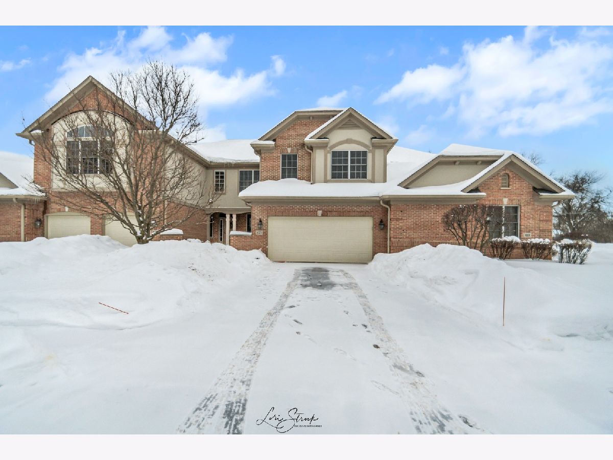 Townhomes Sold Ashbury Woods Lemont Illinois, 423 Ashbury