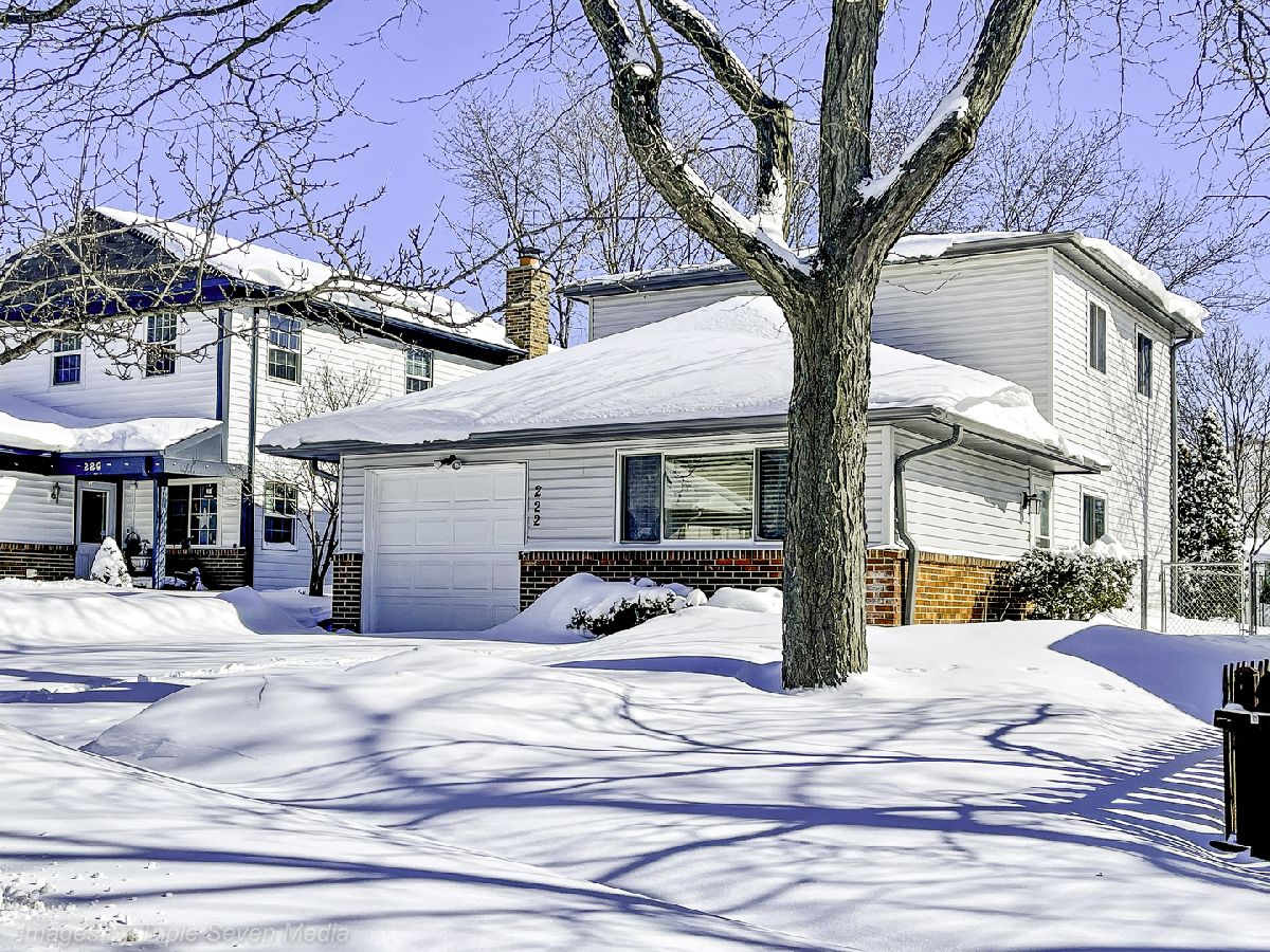 Homes Sold New American Bolingbrook Illinois, 222 Radcliff