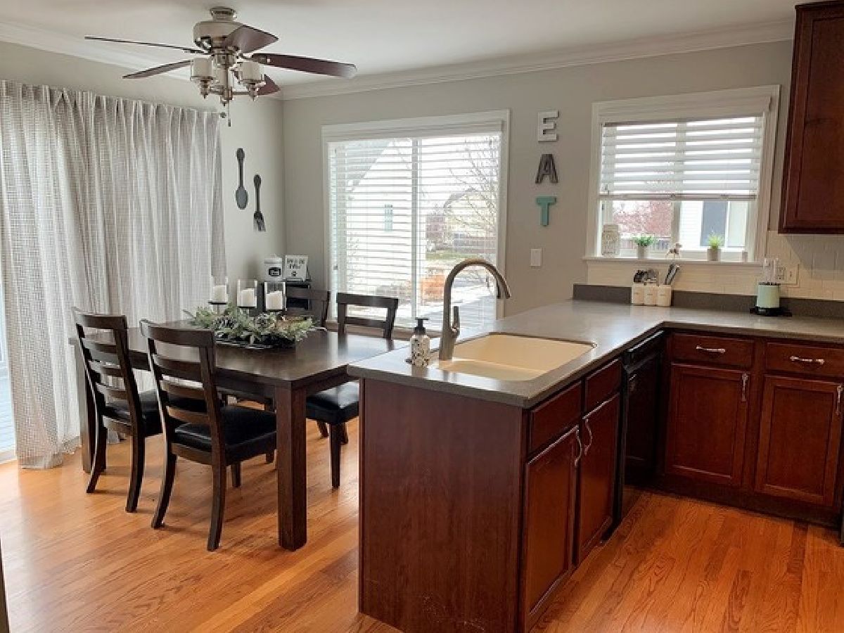 14528 Patriot Square Drive, Plainfield, Illinois 60544 MLS 10999451