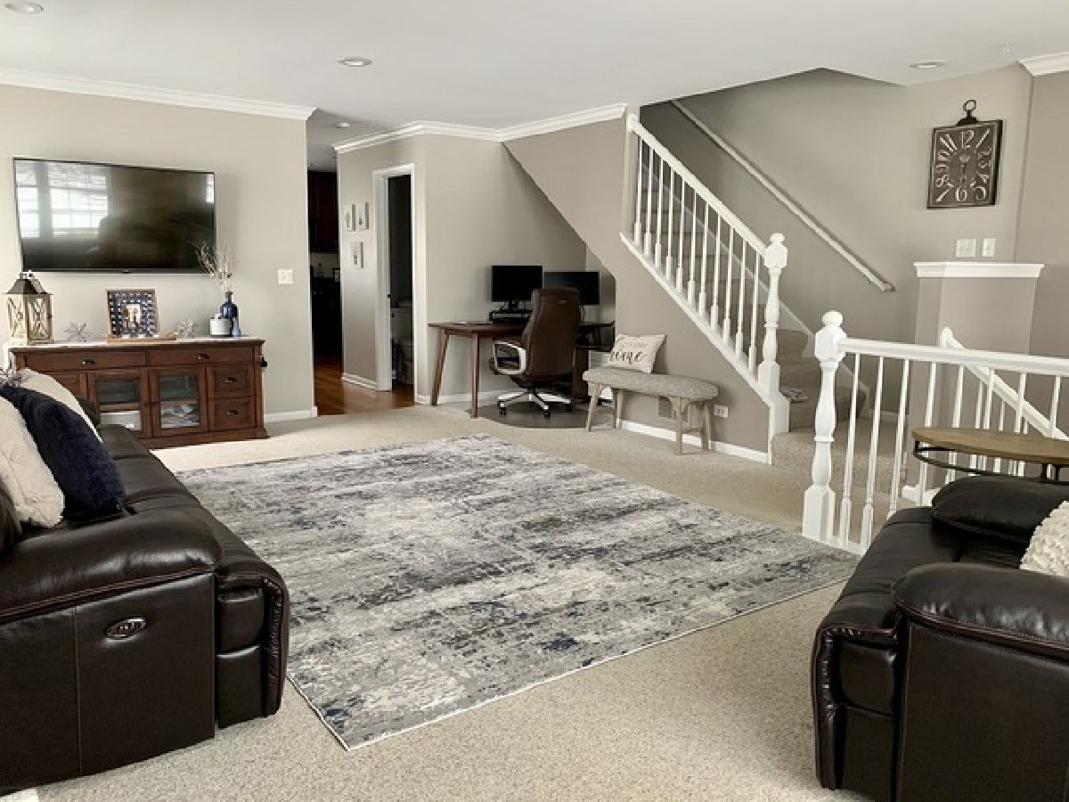 14528 Patriot Square Drive, Plainfield, Illinois 60544 MLS 10999451