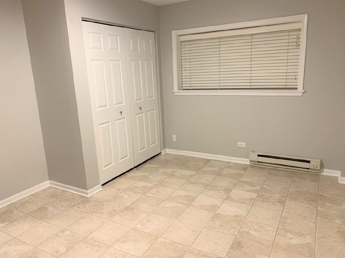 14528 Patriot Square Drive, Plainfield, Illinois 60544 MLS 10999451