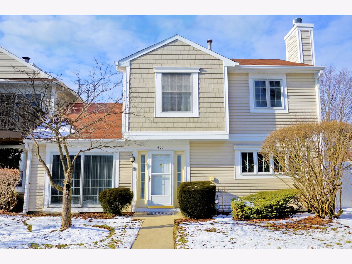 Townhomes & Condos Rented Le Parc Buffalo Grove Illinois, 403 Le Parc