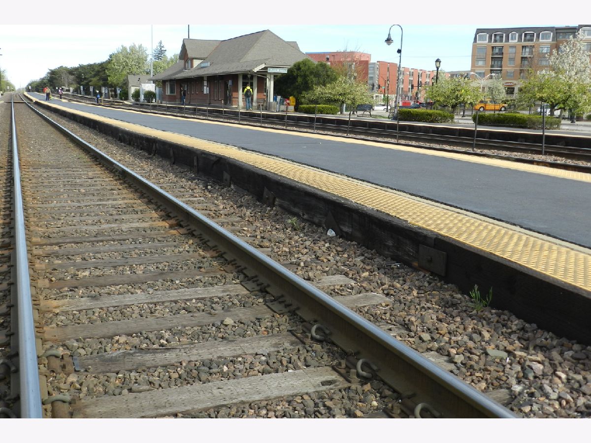 Homes & Condos & Townhomes Sold Centennial Park Park Ridge Illinois, 317 Home