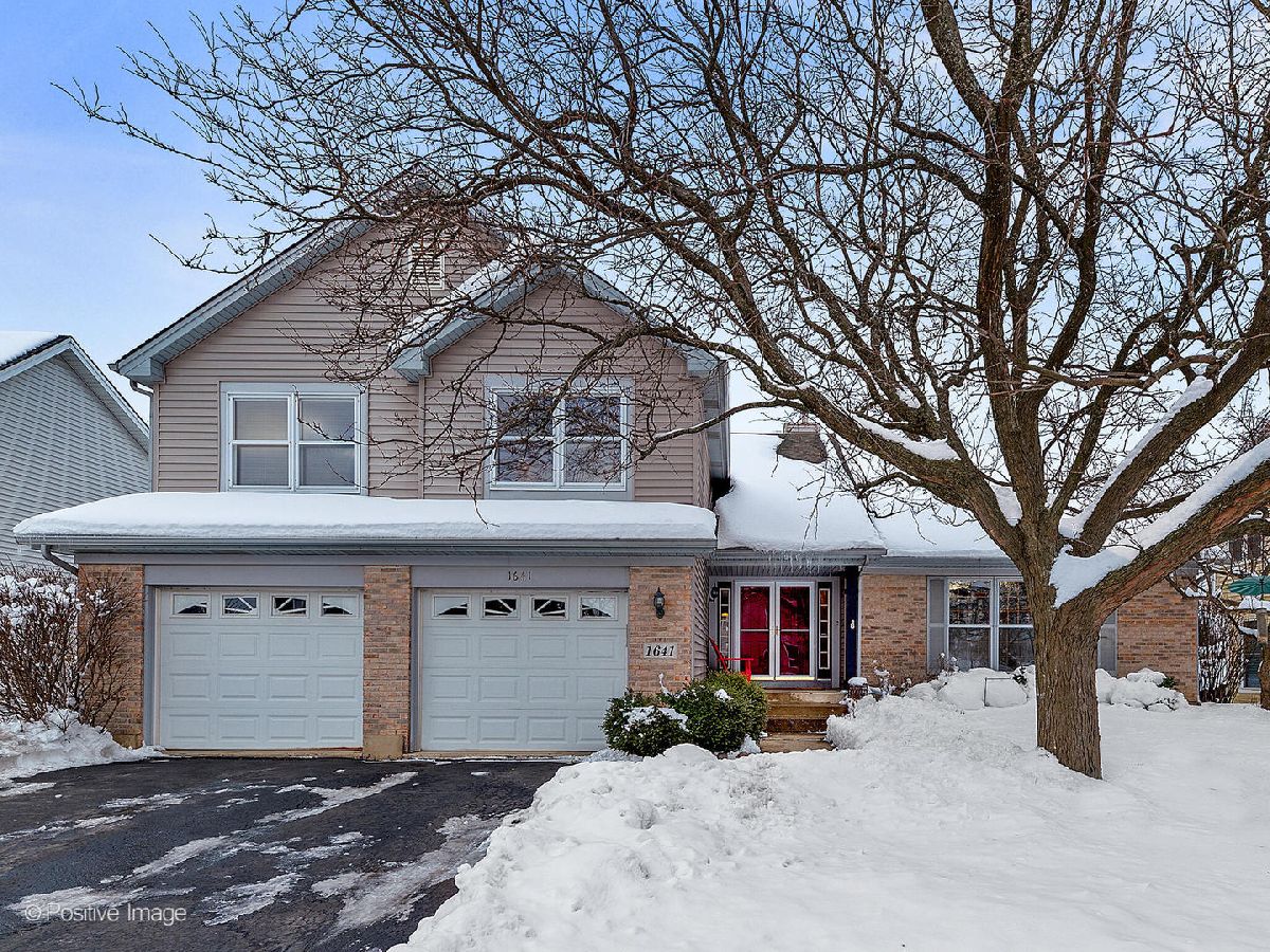 Townhomes & Homes Sold Abbey Woods Lombard Illinois, 1641 Ainsley