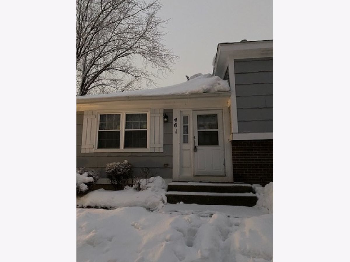 Homes & Condos & Townhomes Rented Indian Meadows Vernon Hills Illinois, 461 Tanglewood