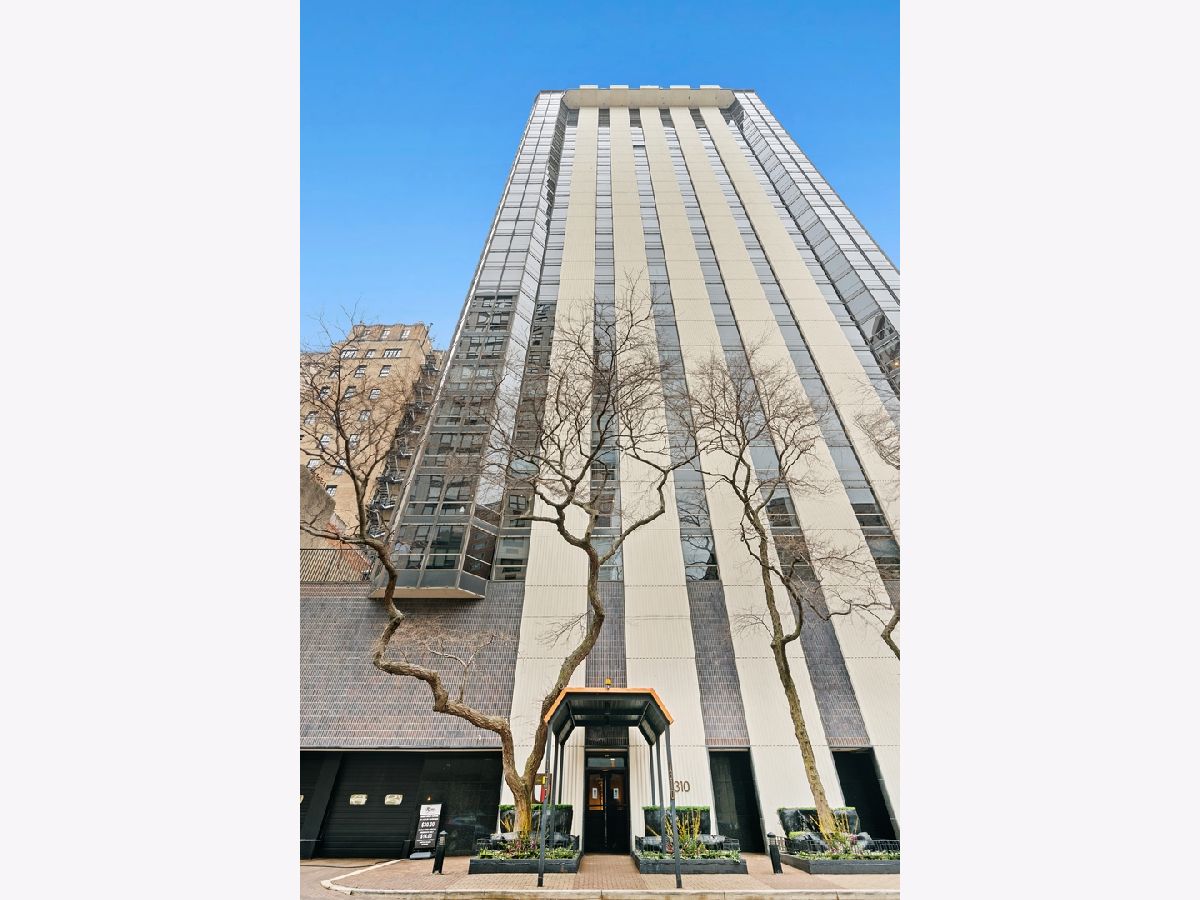 Condominiums Sold Ritchie Tower Chicago Illinois, 1310 Ritchie