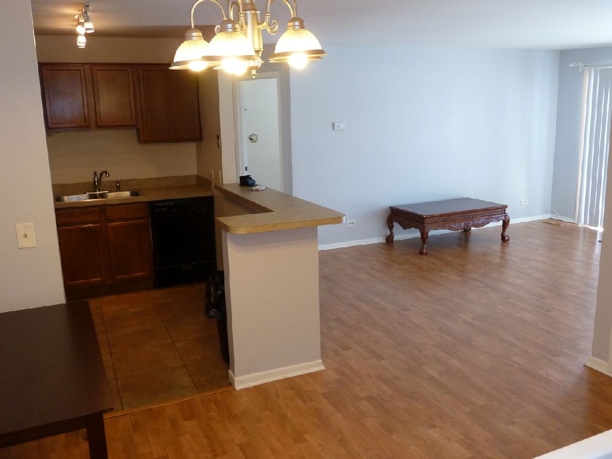 Condominiums Rented Chantecleer Lakes Naperville Illinois, 1328 Mcdowell
