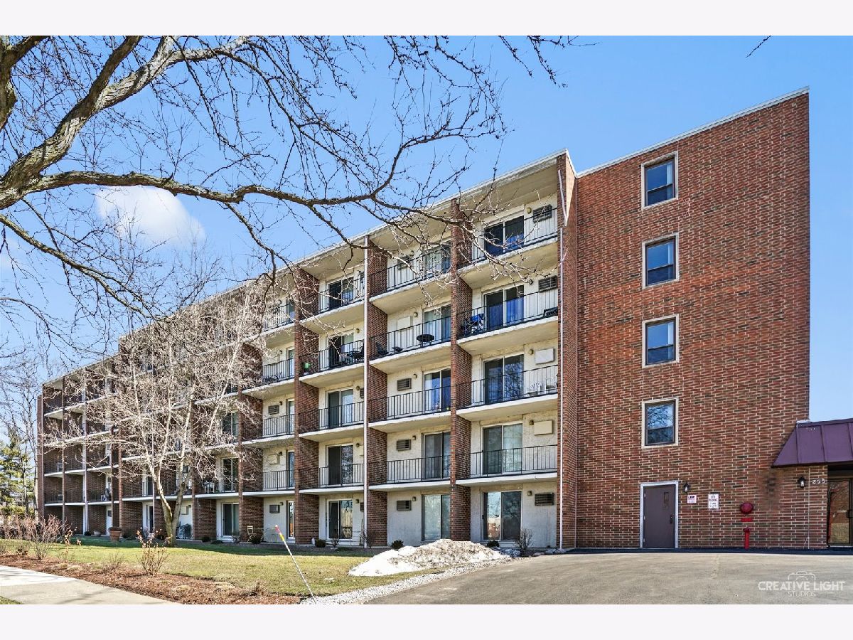 Townhomes & Condos Sold Willows Of Elmhurst Elmhurst Illinois, 255 West