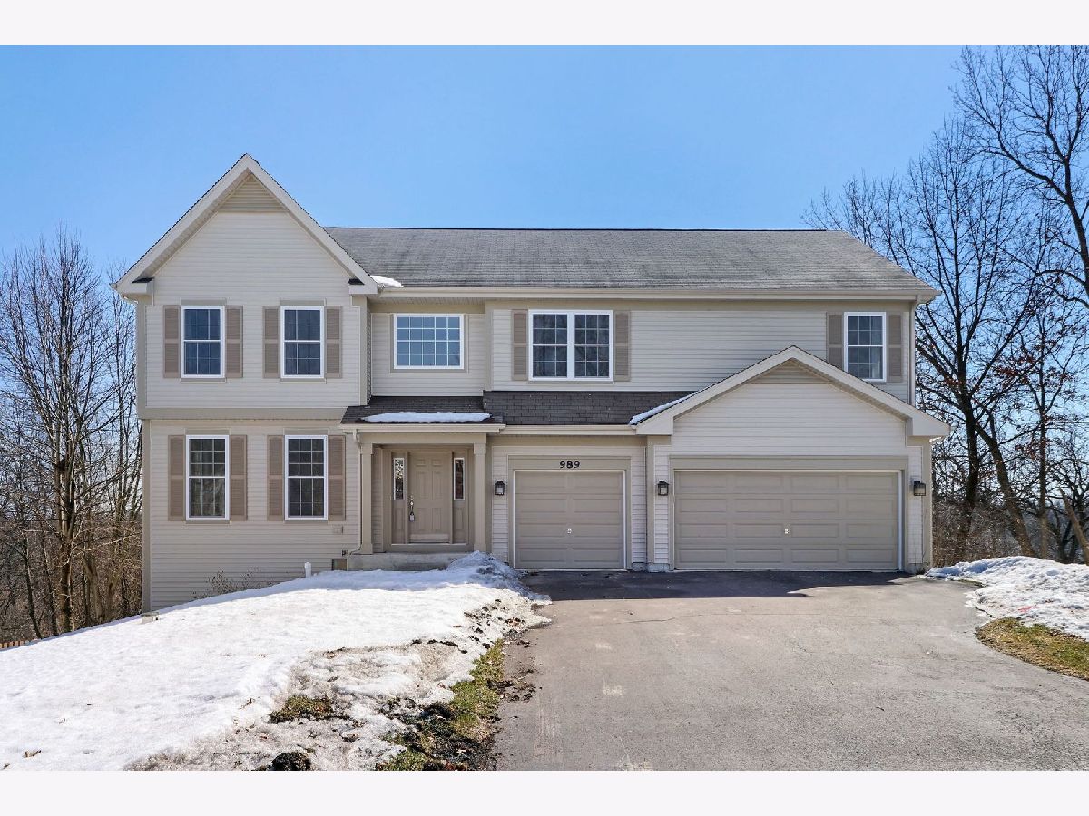 Homes Sold Duck Lake Crossing Fox Lake Illinois, 989 Talismon