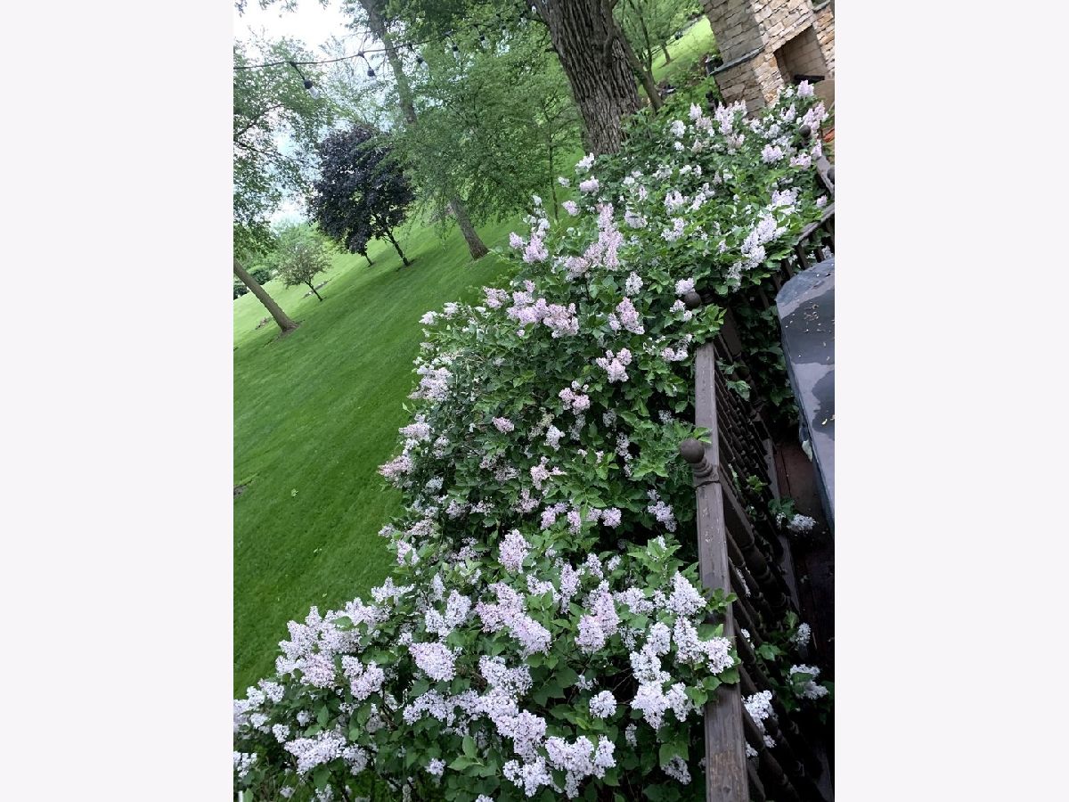 Homes Sold Blackberry Creek Yorkville Illinois, 35 Lexington