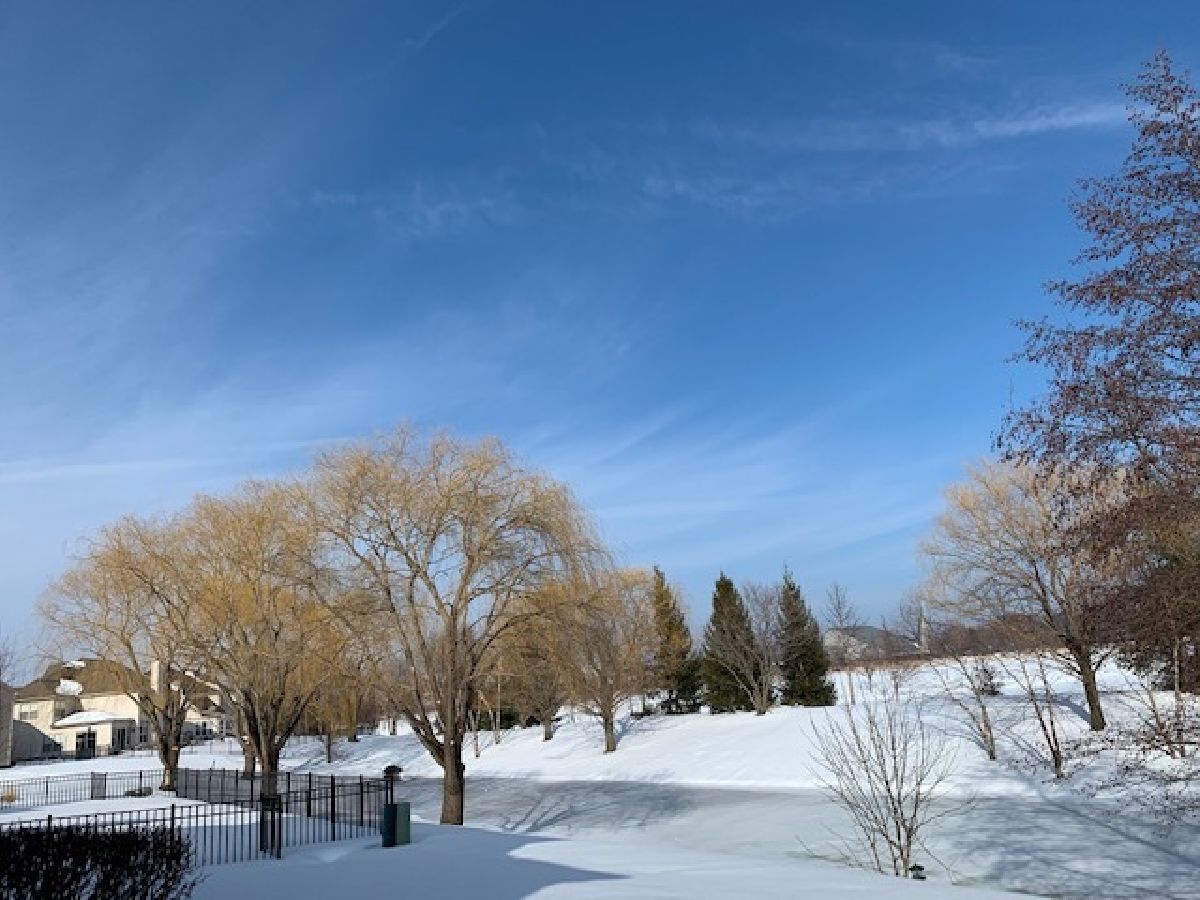 Homes Sold Stonehaven Aurora Illinois, 1220 Commons