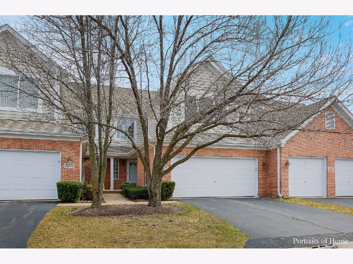 Townhomes Sold Orchard Place Glen Ellyn Illinois, 305 Roscommon