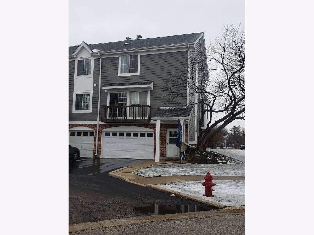 Townhomes Rented Hickory Hill Palatine Illinois, 863 Saint Johns