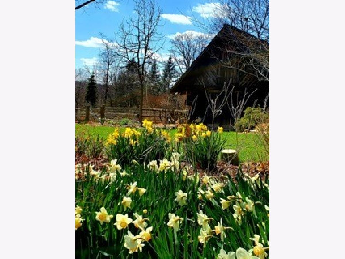  Sold Glen Ellyn Illinois, 21W581 Saint Charles