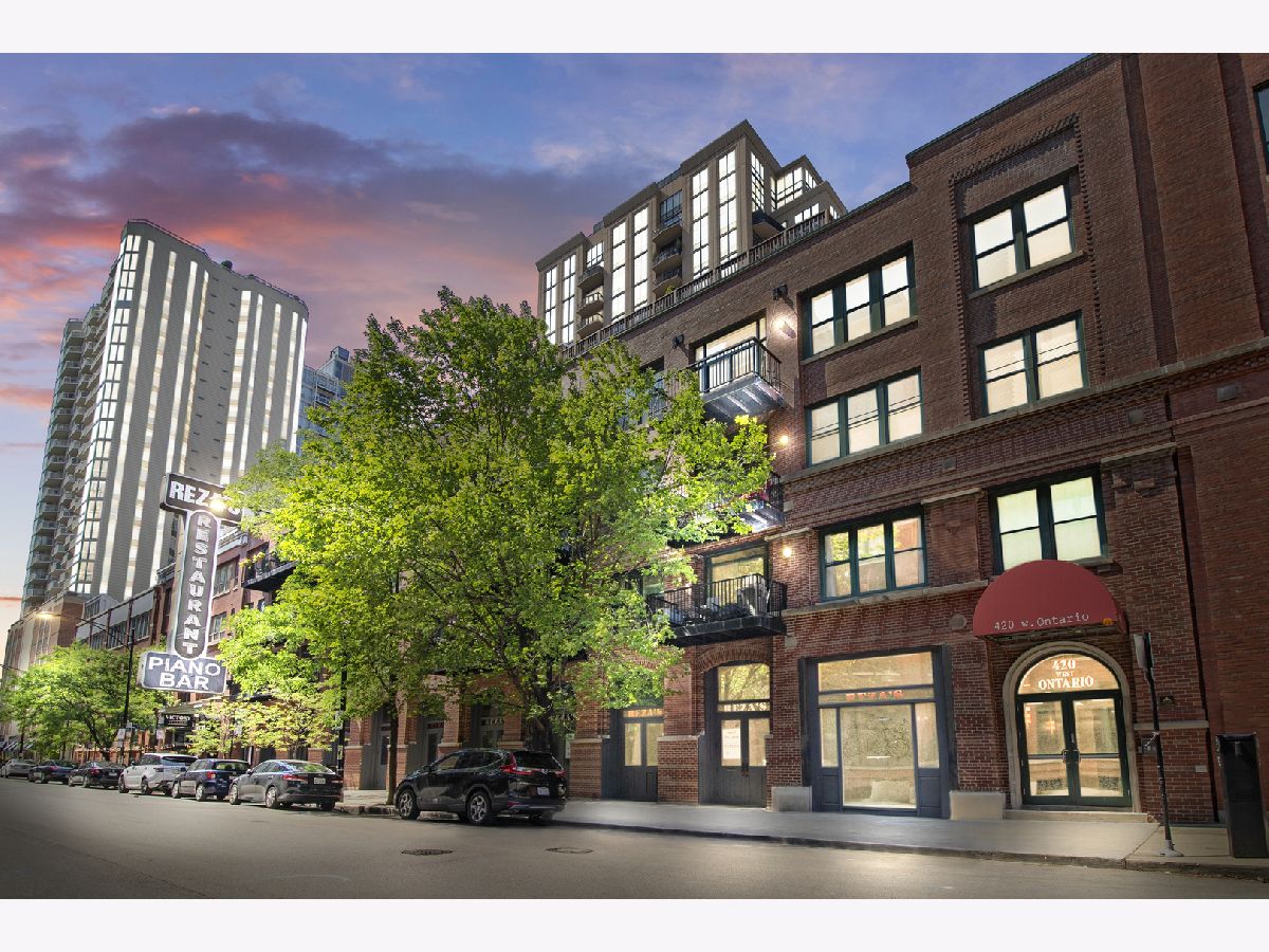 Condominiums Sold Timber Gallery Lofts Chicago Illinois, 420 Ontario