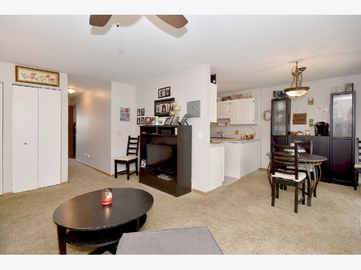 690 Thorntree Court, Bartlett, Illinois 60103 MLS 11030482 WinterCohen