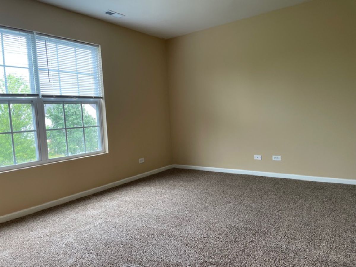 Townhomes & Homes Rented Blackberry Knoll Oswego Illinois, 341 Grape Vine