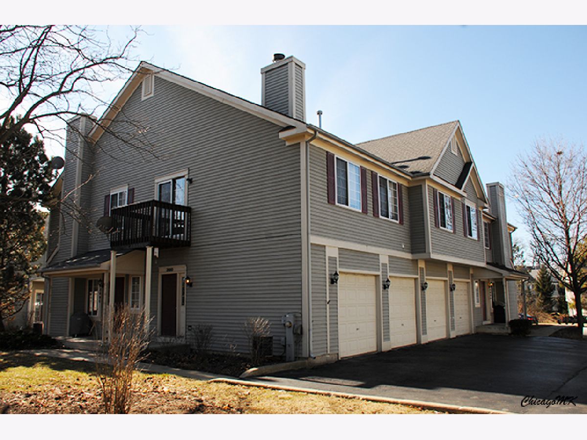 Townhomes & Condos Rented Concord Woods South Elgin Illinois, 269 Windsor