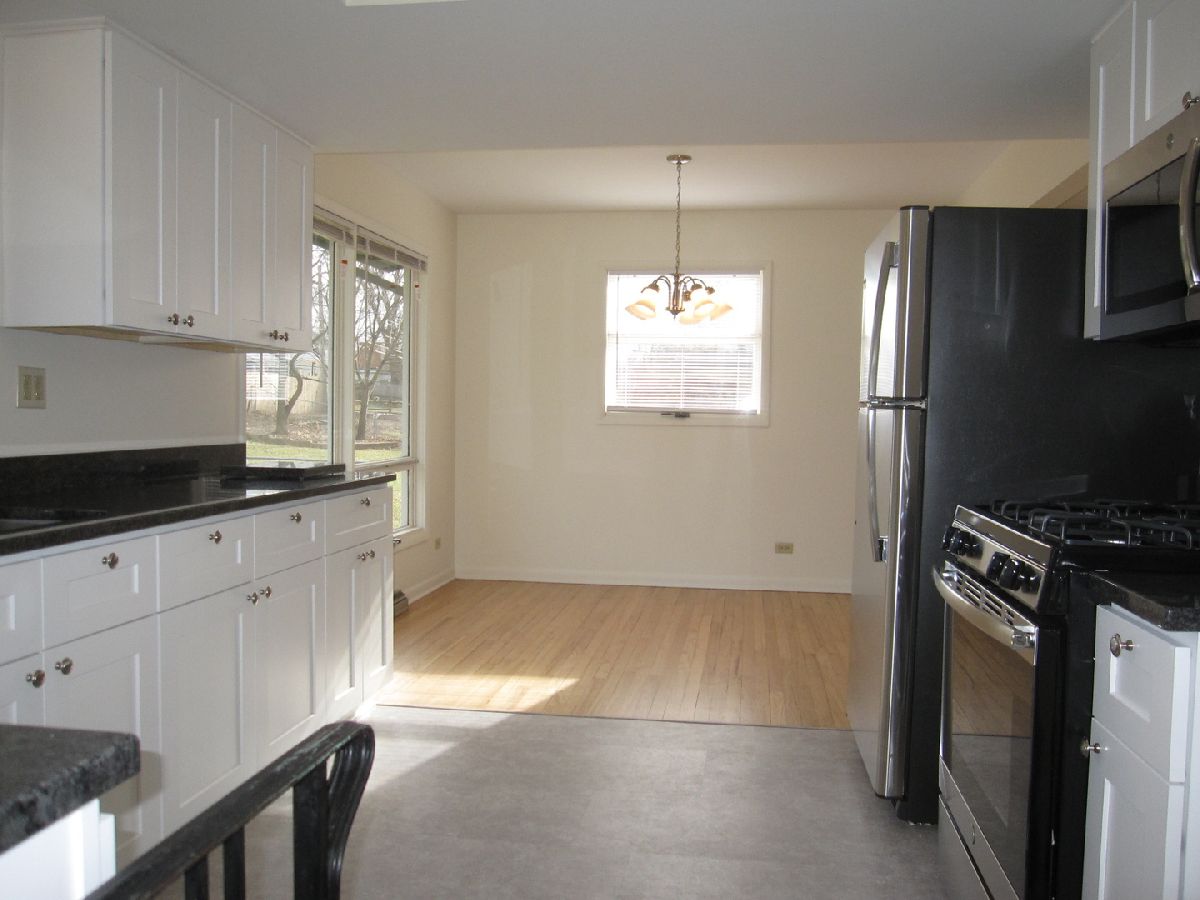 Homes & Condos & Townhomes Rented Eagle Heights Elgin Illinois, 825 Carol