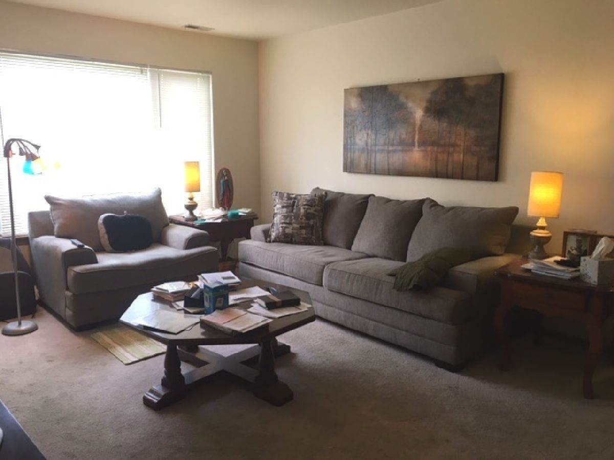 324 Mulberry Court, Bartlett, Illinois 60103 MLS 11039035 WinterCohen