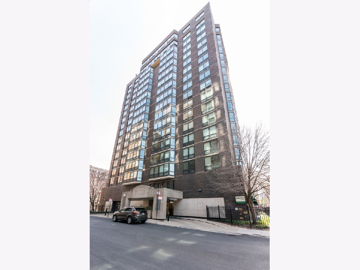 Condominiums Rented Hanover House Chicago Illinois, 21 Goethe